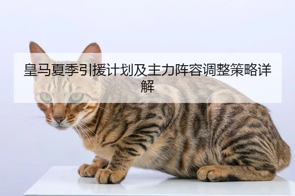 皇马夏季引援计划及主力阵容调整策略详解